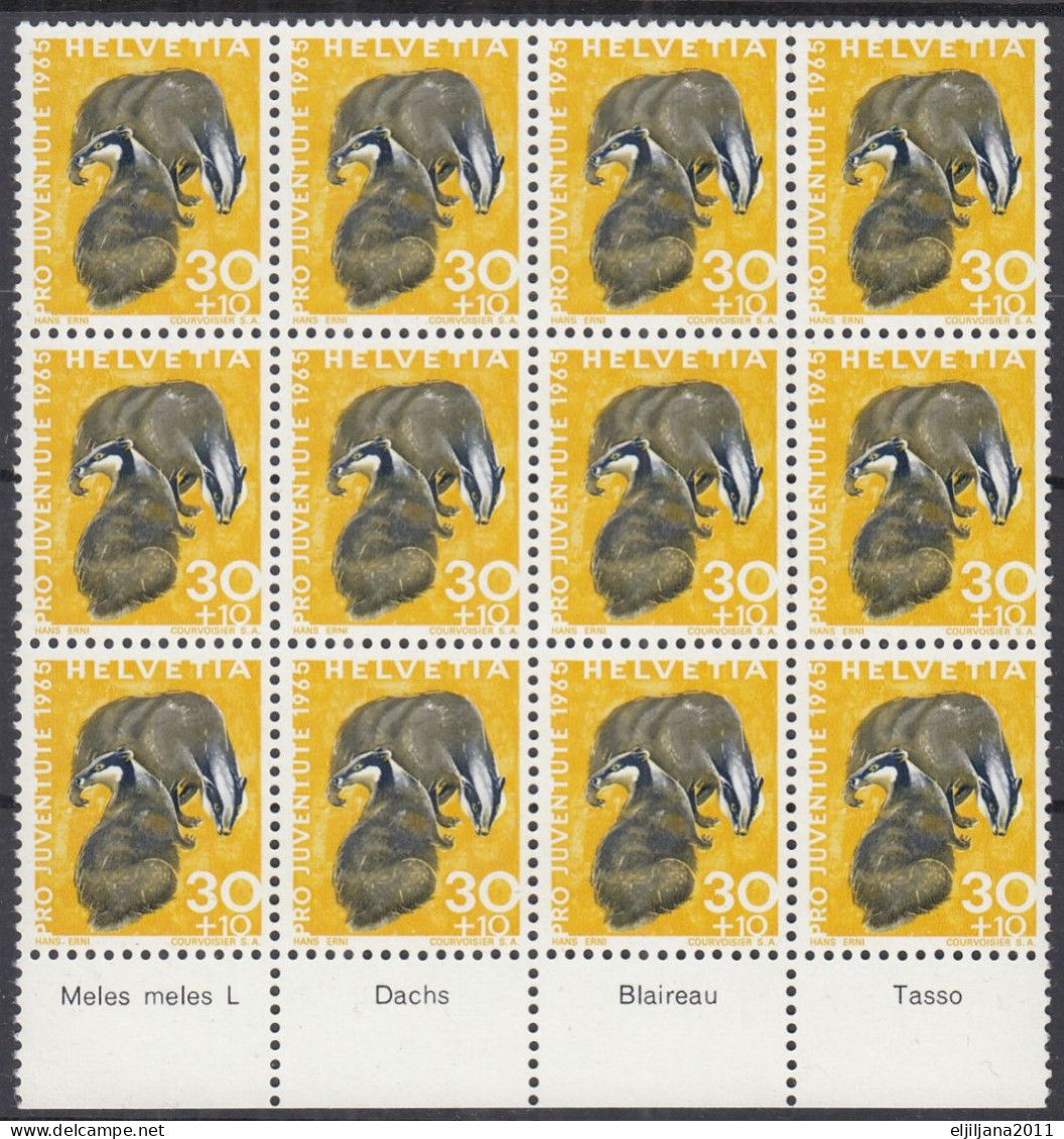 Switzerland / Helvetia / Schweiz / Suisse 1965 ⁕ Pro Juventute Mi.829 X12 ⁕ MNH Block - Unused Stamps