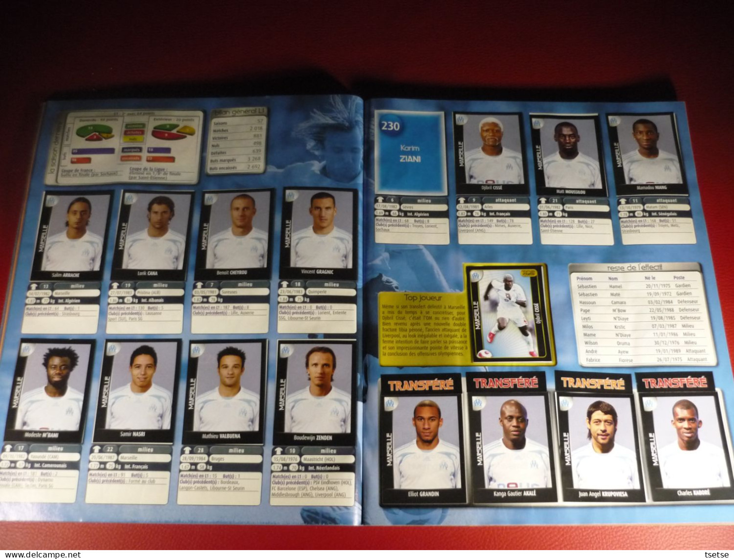 Album Panini - Foot 2008 / Championnat de France