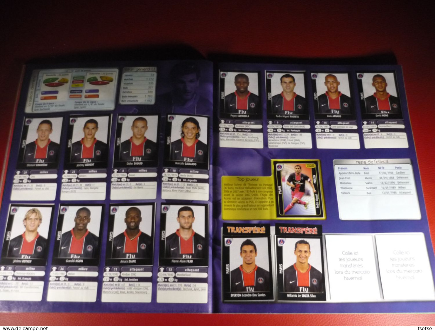 Album Panini - Foot 2008 / Championnat de France