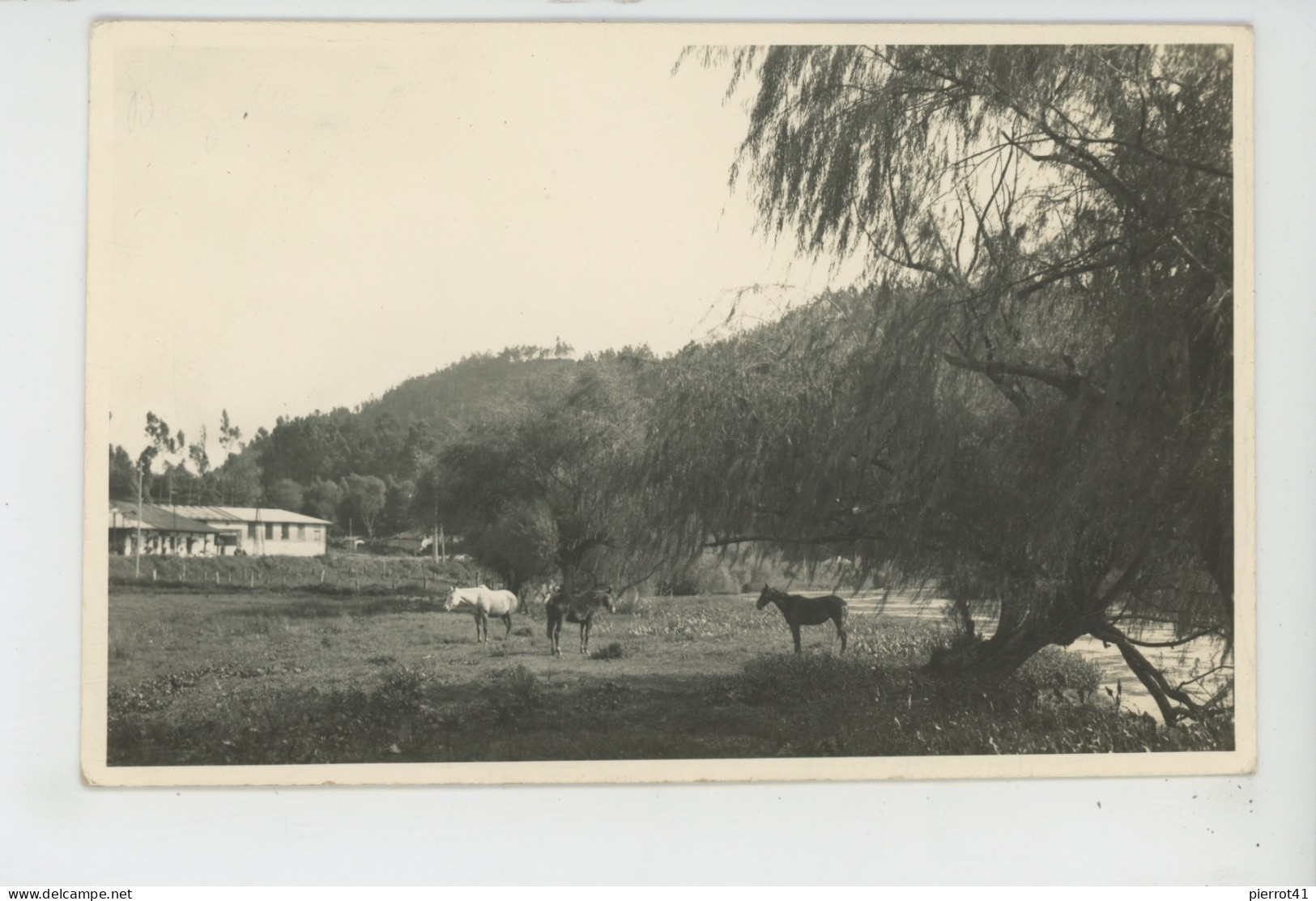 COLOMBIE - BOGOTA - Almacen  "EL REGALO "  (ferme Avec Chevaux ) - Colombie