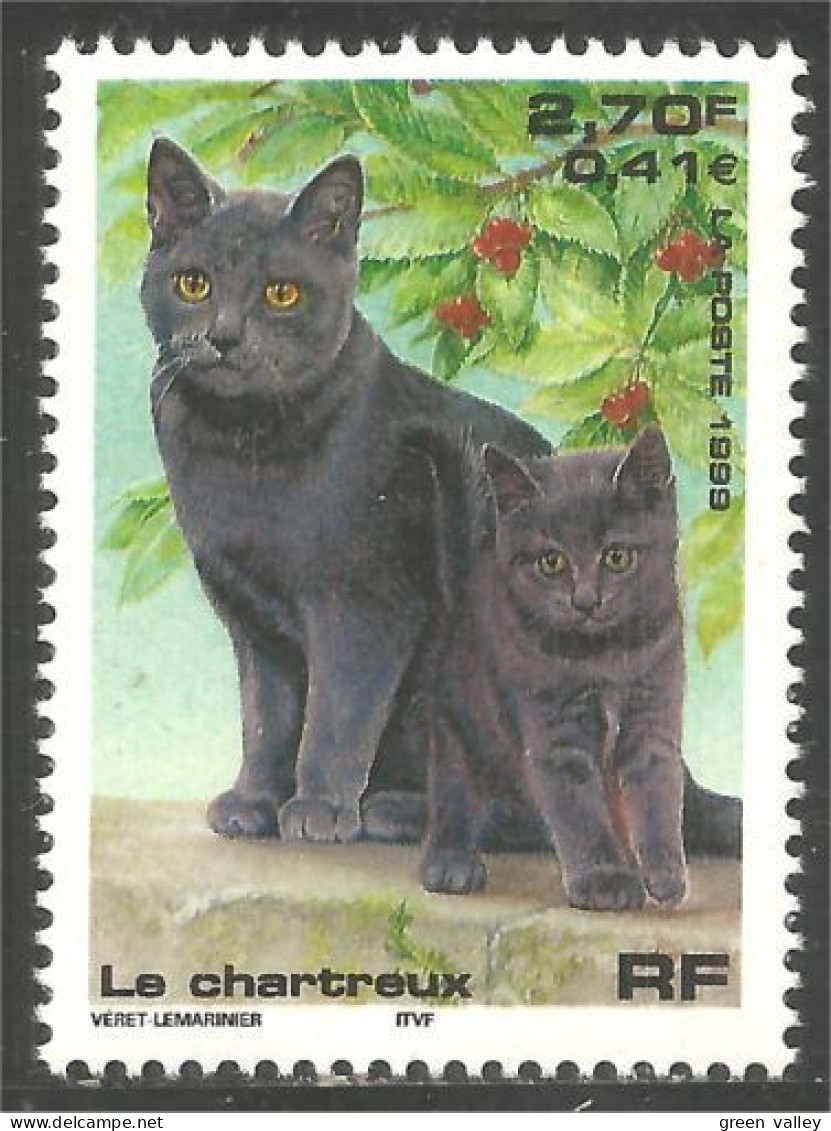 362 France Yv 3283 Nature Chat Cat Katze Gatto Gato Kat Chartreux MNH ** Neuf SC (3283-1) - Neufs