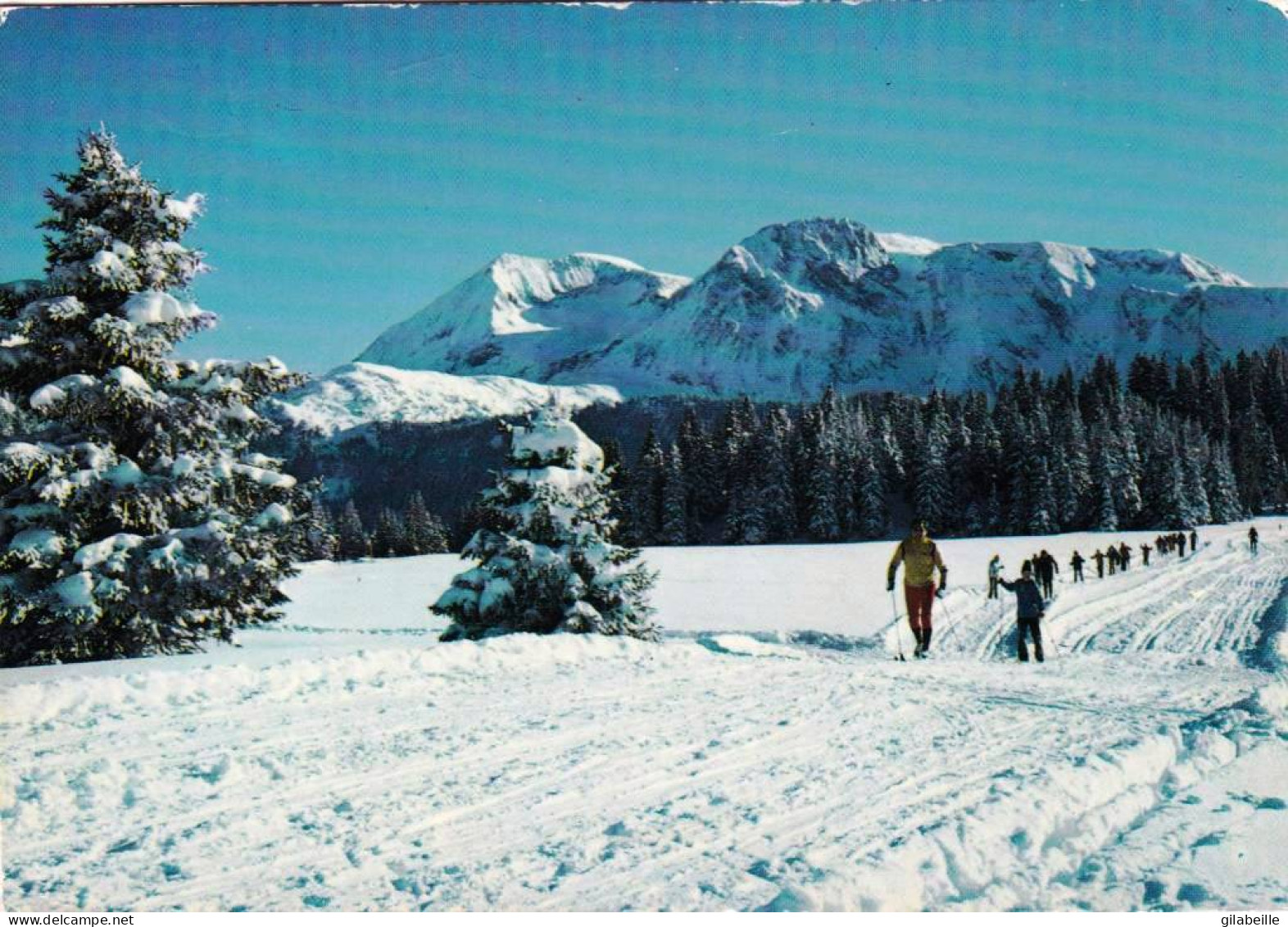 38 - Isere - CHAMROUSSE -  Ski De Fond A La Prairie D Arcelle - Chamrousse