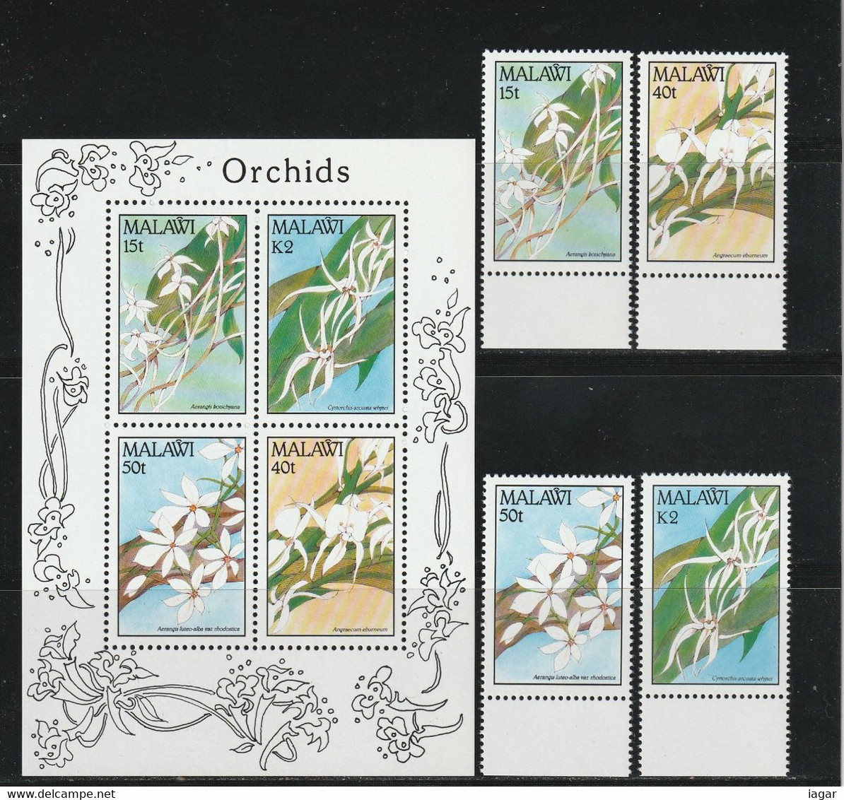 THEMATIC FLORA:  1990 FLOWERS, ORCHIDS OF MALAWI   4v+MS    -   MALAWI - Orchidées