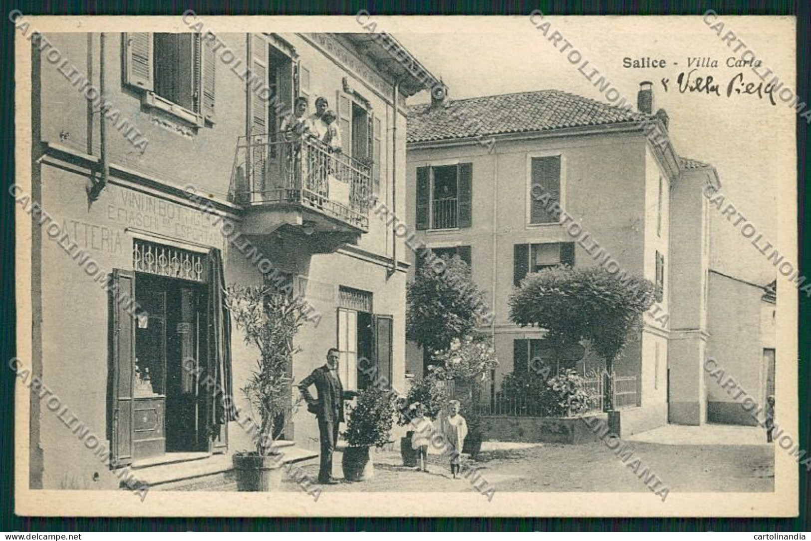 Pavia Salice Cartolina EE5683 - Pavia