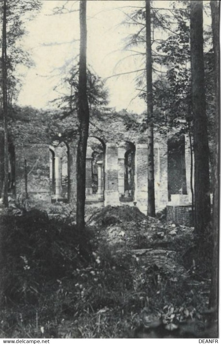 MARIEMONT : Ruines; Vestibule Du Service Particulier De L'ancien Palais Transformé En Musée ( Les Piloris) - Morlanwelz