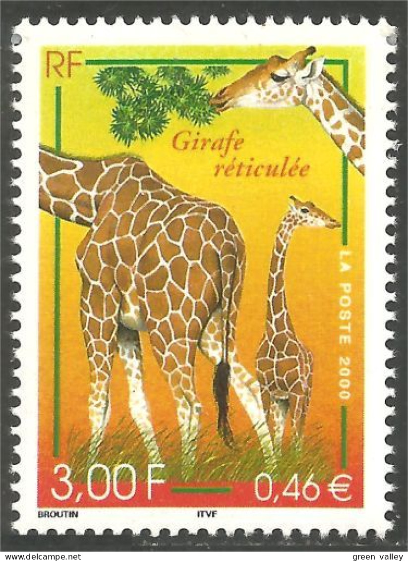 363 France Yv 3333 Girafe Giraffe Girafa Jirafa MNH ** Neuf SC (3333-1a) - Ungebraucht