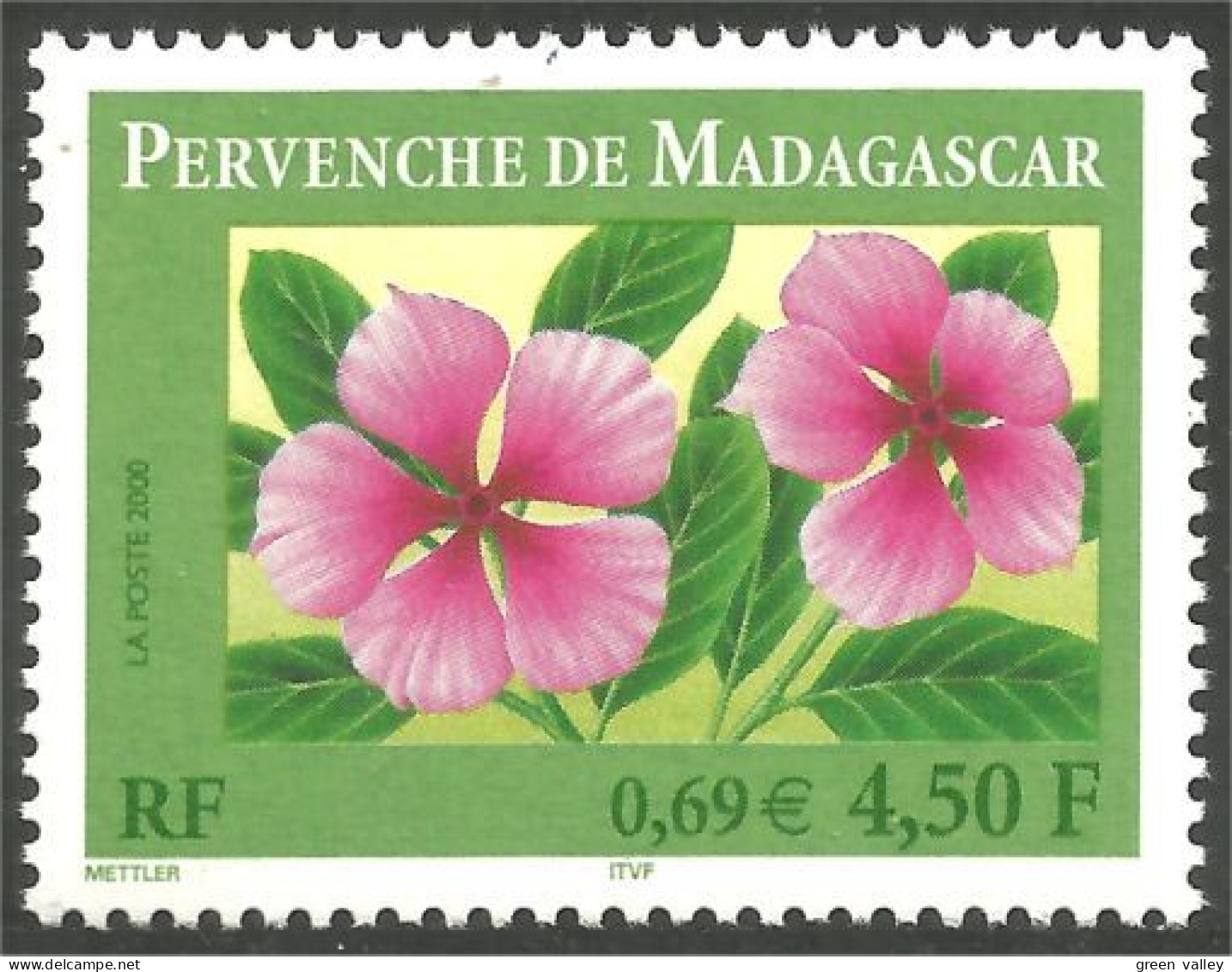 363 France Yv 3306 Pervenche Madagascar Periwinkle Immergrün MNH ** Neuf SC (3306-1a) - Ungebraucht