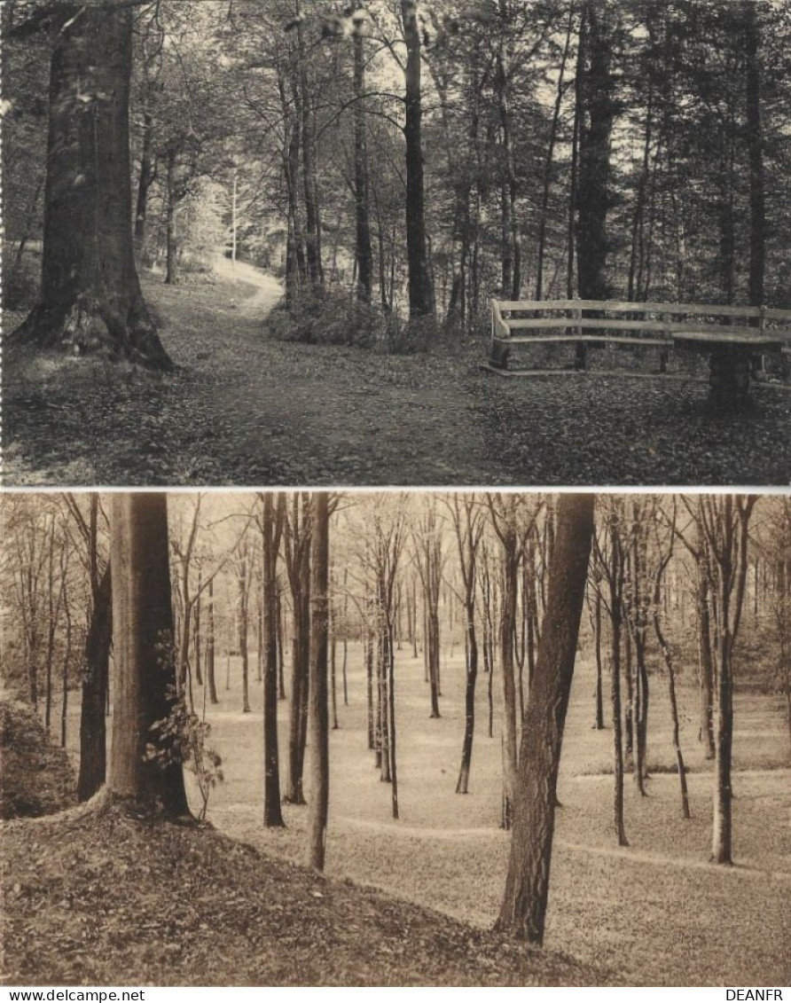 MARIEMONT : Domaine De Mariemont : Le Parc - Chemin Forestier + Le Parc : Sous Bois. ( 2 Cartes ). - Morlanwelz