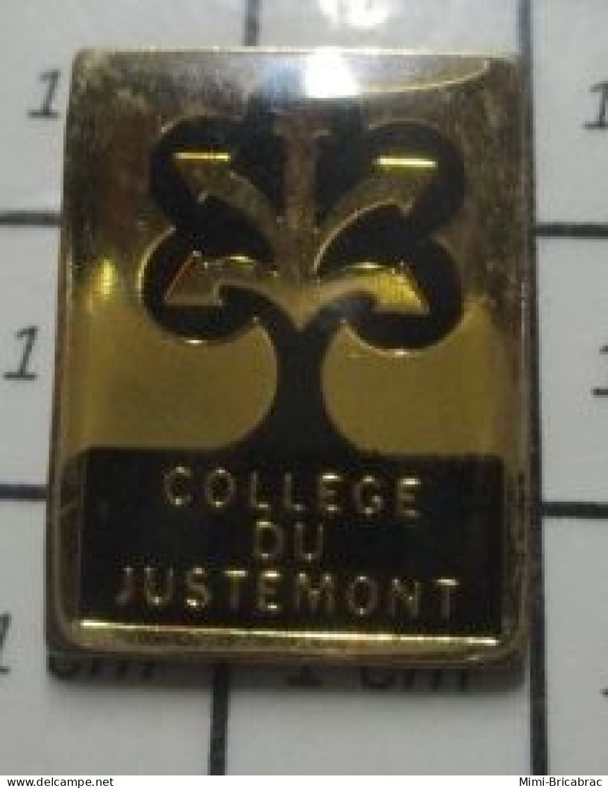 1618A  Pin's Pins / Beau Et Rare : ADMINISTRATIONS / COLLEGE DU JUSTEMONT VITRY SUR ORNE - Administraties