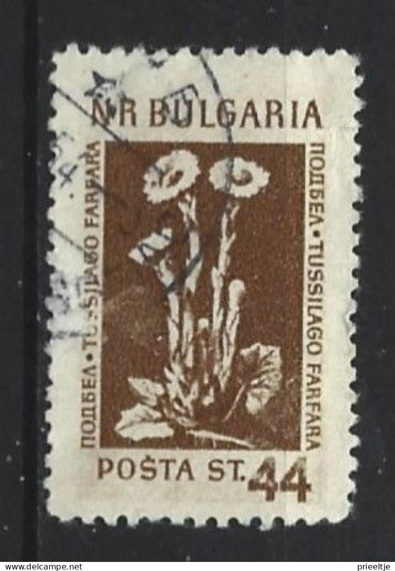Bulgaria 1953 Flowers  Y.T. 780 (0) - Usados