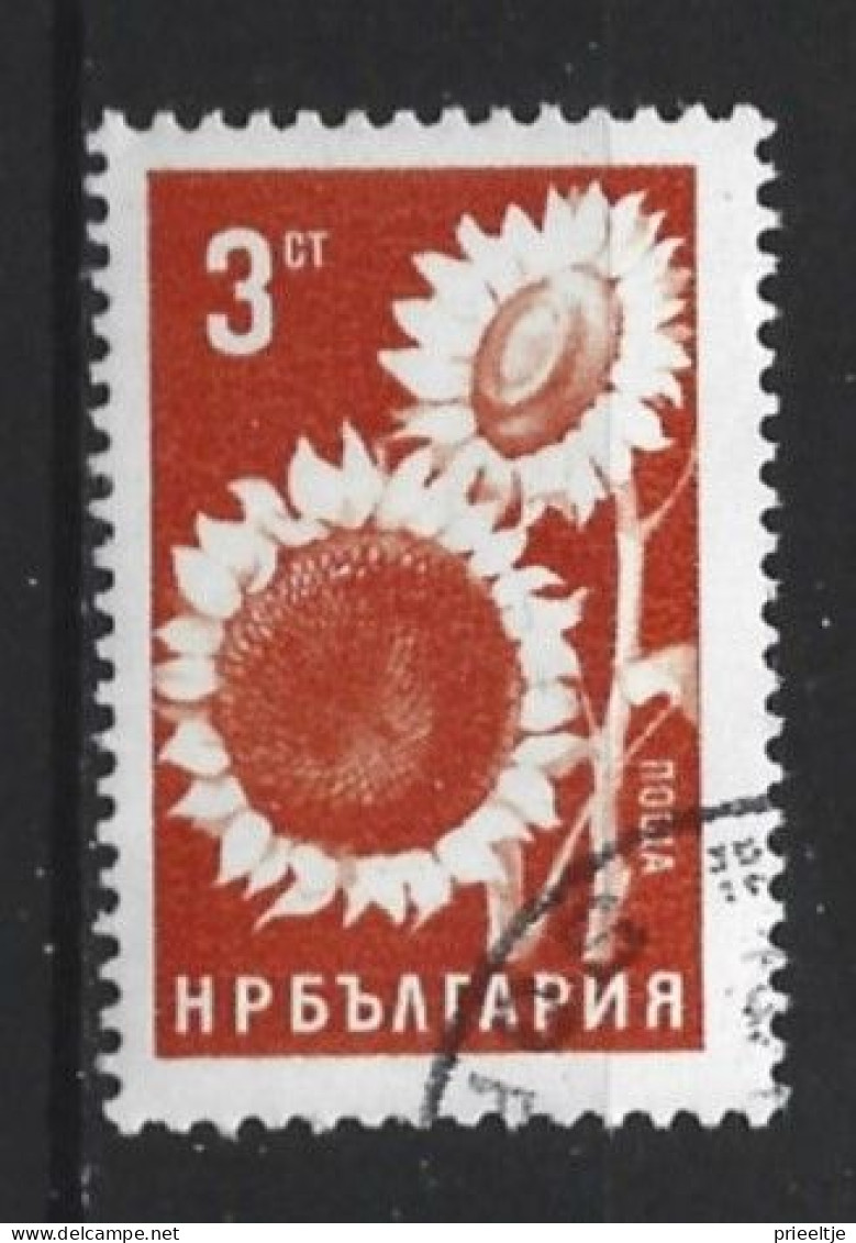Bulgaria 1965 Flowers  Y.T. 1336 (0) - Usati
