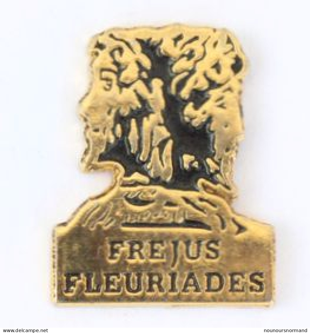 Pin's Fréjus (83) - FREJUS FLEURIADES - Buste Du Dieu Romain JANUS - Mythologie - AB Communication - ZZ062 - Villes