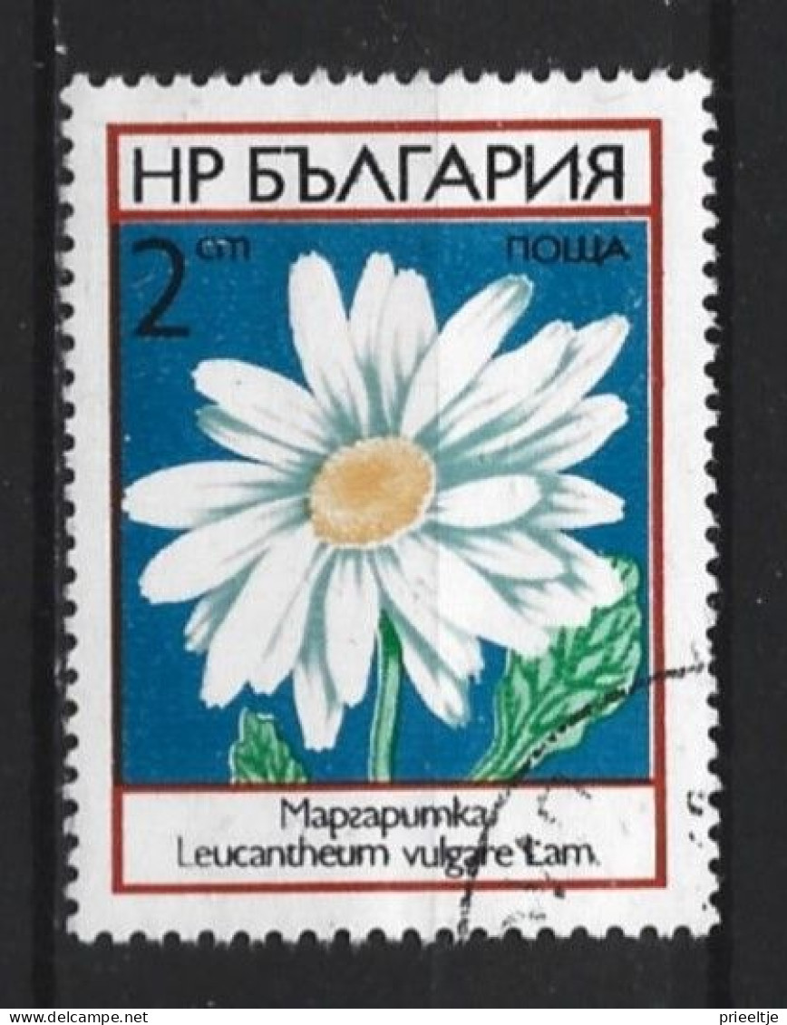 Bulgaria 1973 Flowers Y.T. 2001 (0) - Usati