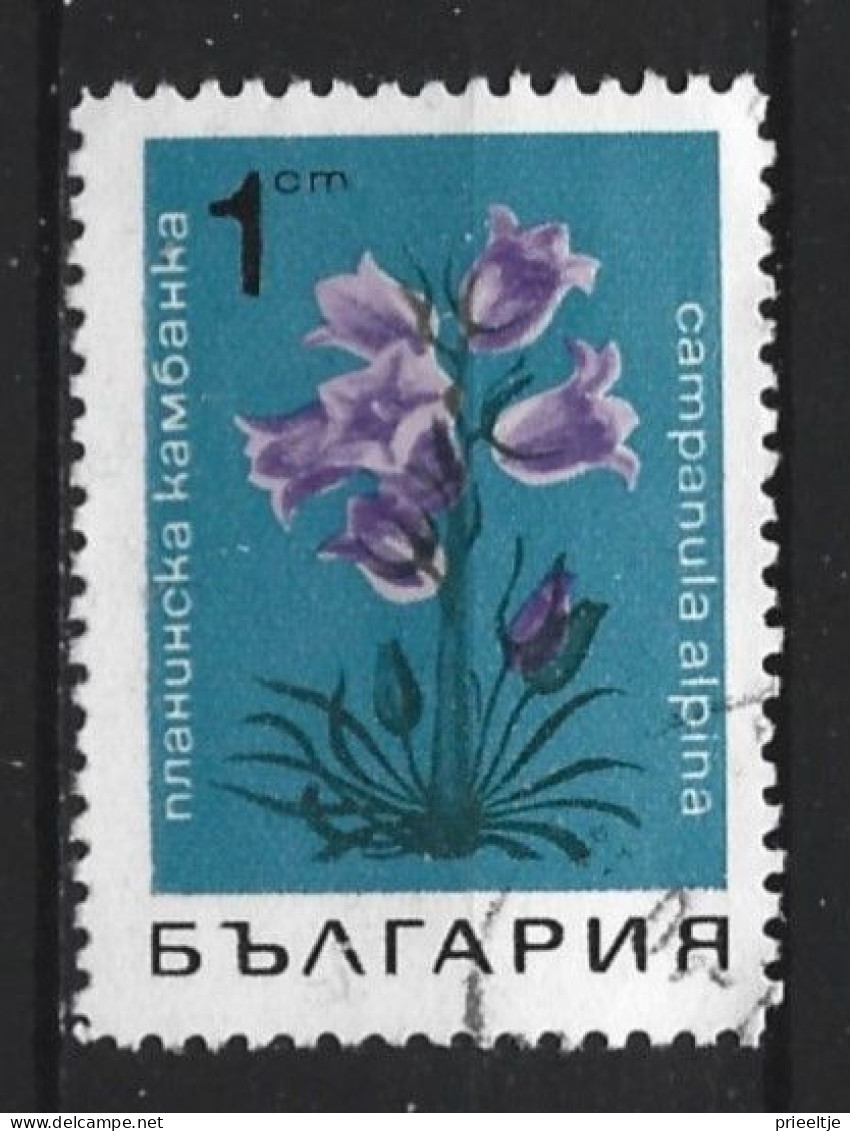 Bulgaria 1968 Flowers  Y.T. 1583 (0) - Usati