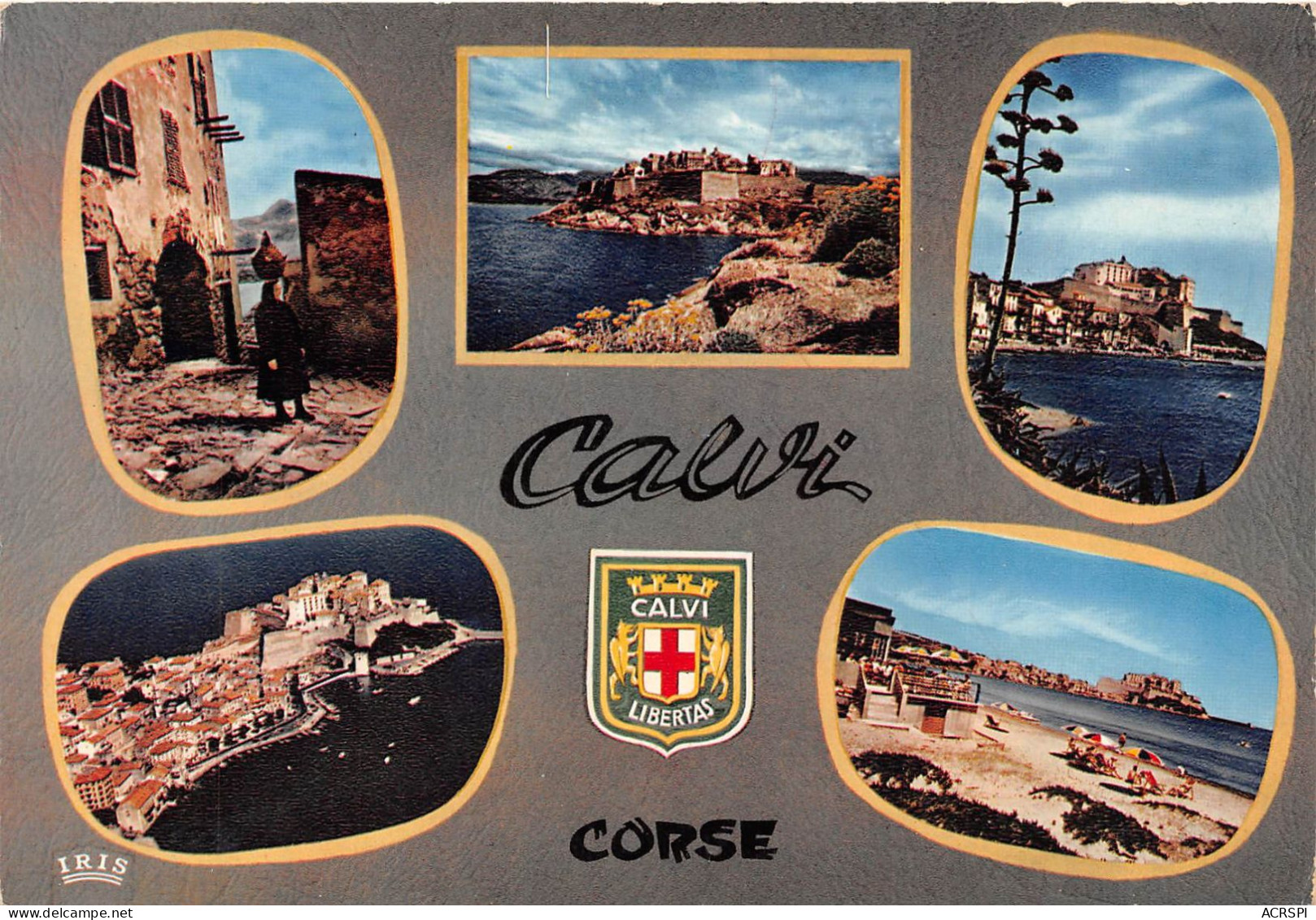 CALVI 7(scan Recto-verso) MA608 - Calvi