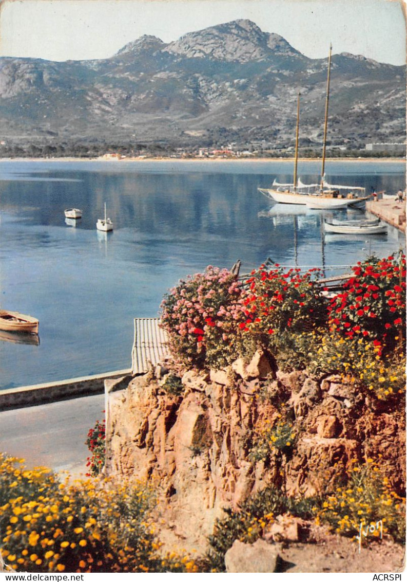 CALVI Un Coin Du Port Plein De Soleil Et De Touffes De Fleurs 27(scan Recto-verso) MA608 - Calvi