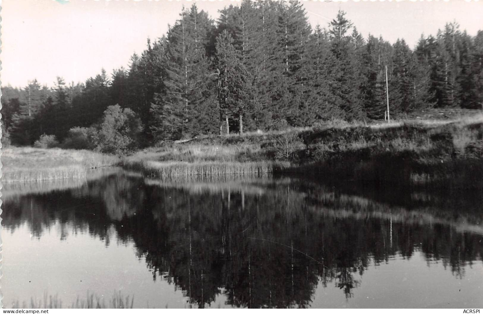 Colonie De Vacances Du Moulinet Le Bois De Fraisse 3(scan Recto-verso) MA604 - La Salvetat