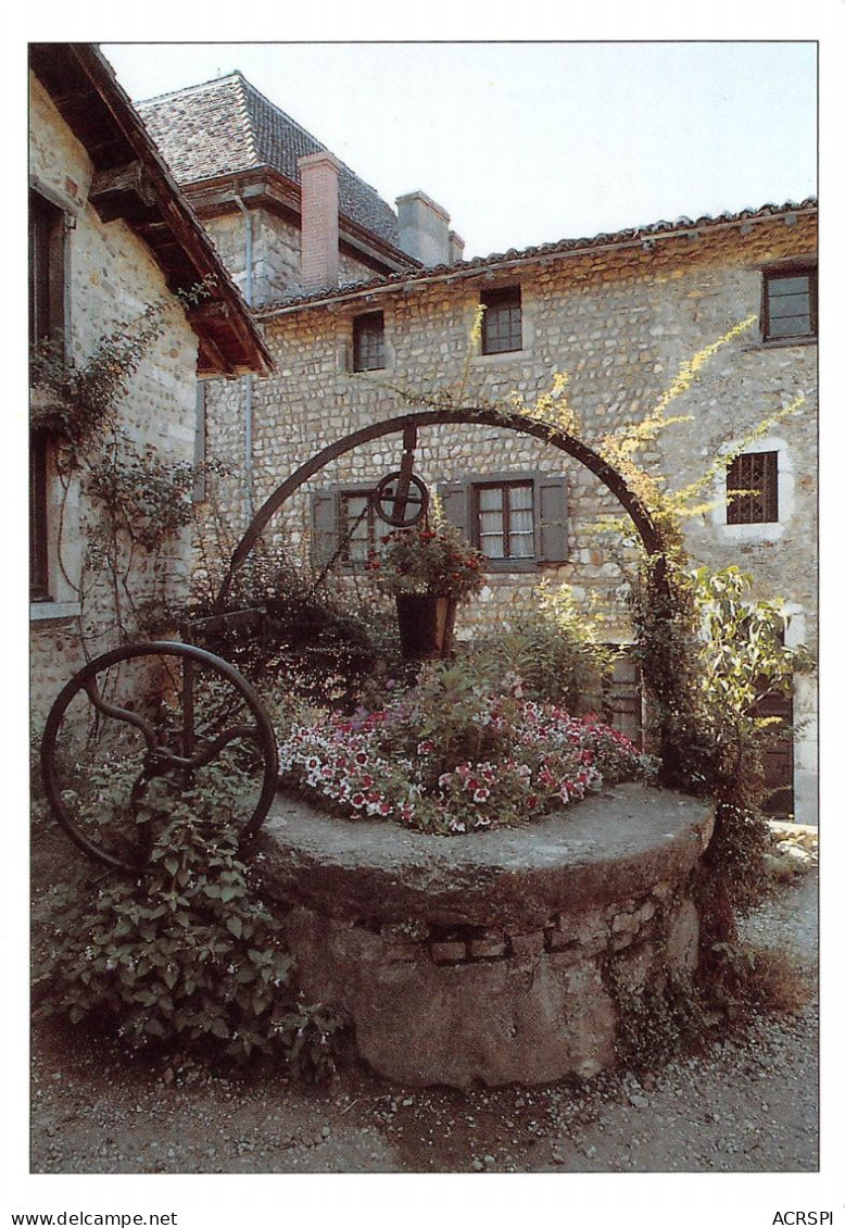 Cite Medievale De PEROUGES Place Du For Le Vieux Puits 20(scan Recto-verso) MA601 - Pérouges