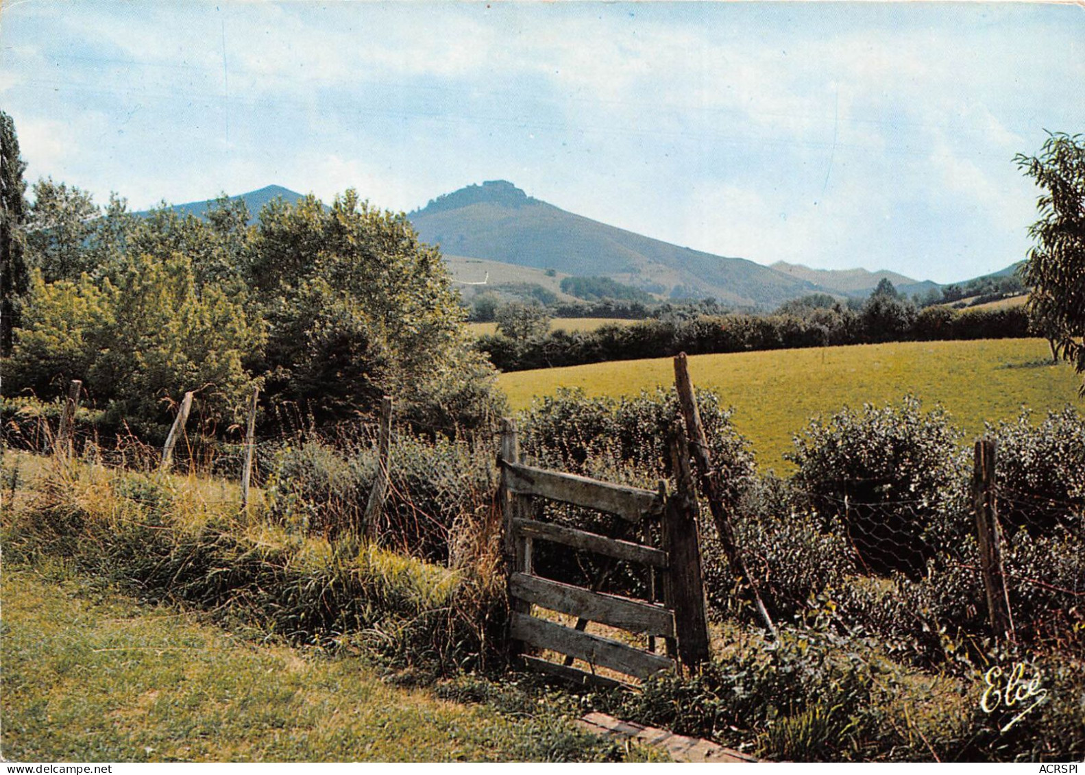 ESPELETTE Vue Sur Le Mont Darrain Et La Reserve De Pottioks Petit Cheval Sauvage 39(scan Recto-verso) MA616 - Espelette