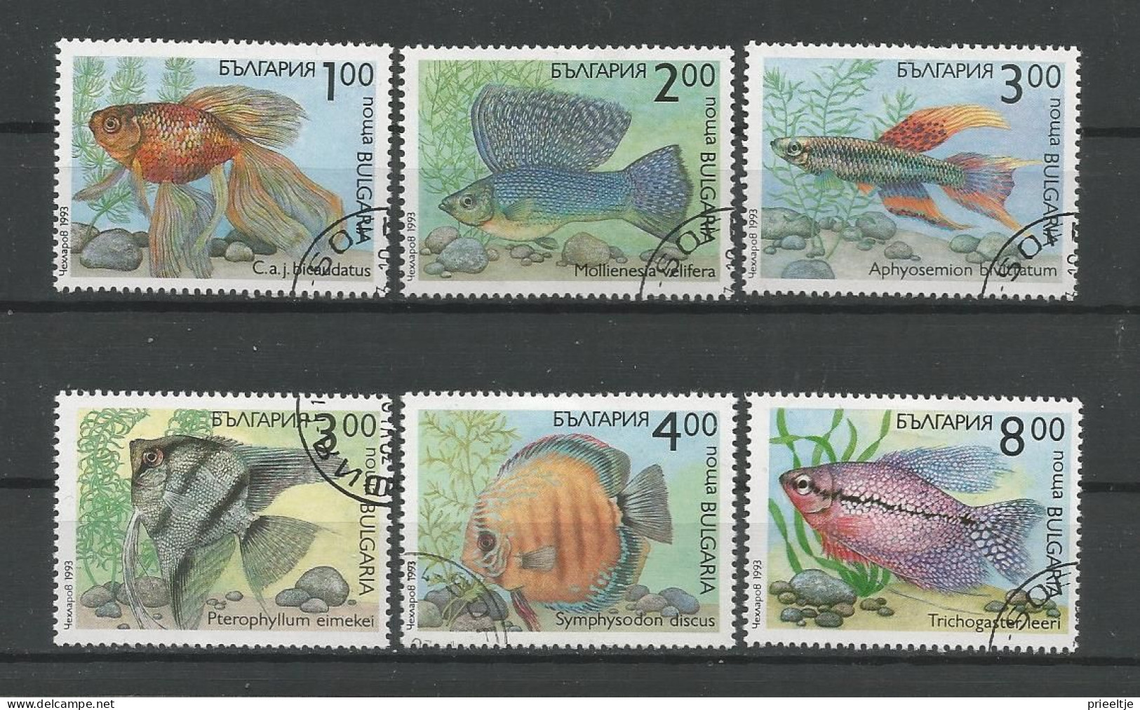 Bulgaria 1993 Fish  Y.T. 3506/3511 (0) - Oblitérés