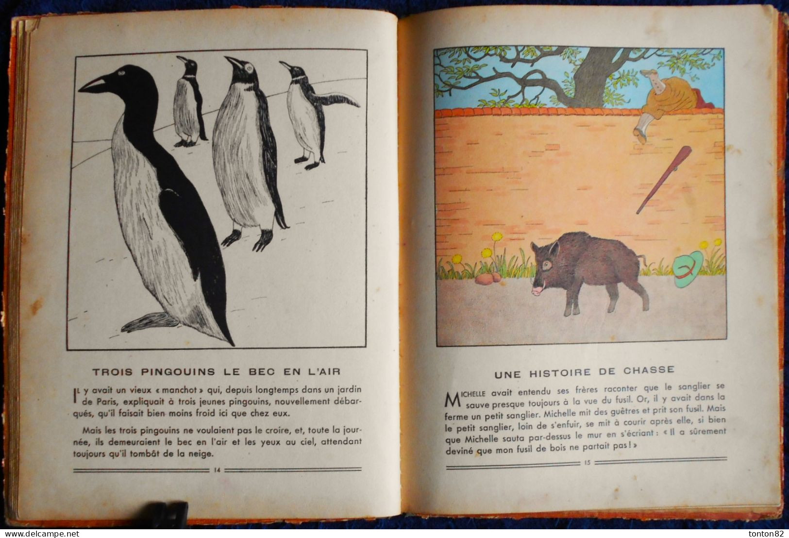 Marie Madeleine Franc-Nohain - Les Animaux Sauvages - Larousse - ( 1933 ) .