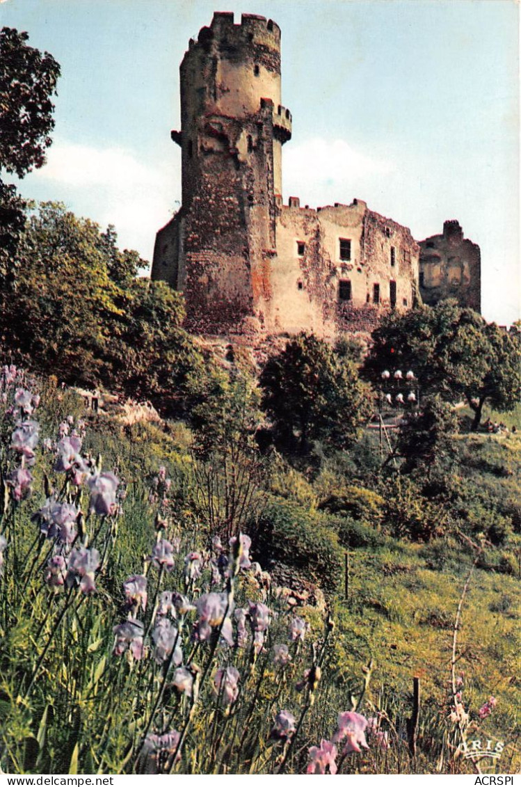 VOLVIC Env De Chatelguyon Chateau De Tournoel XII Et XIVe S 17(scan Recto-verso) MA658 - Volvic