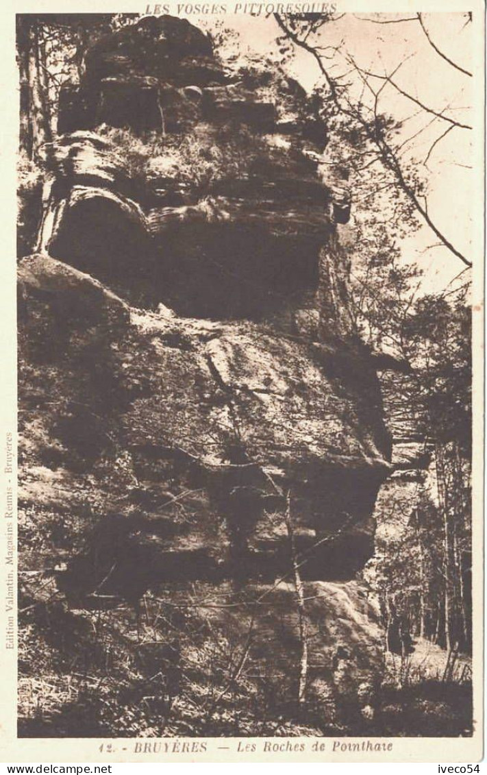 Bruyères  En Vosges     " Les Rochers De Pointhaie  " - Bruyeres