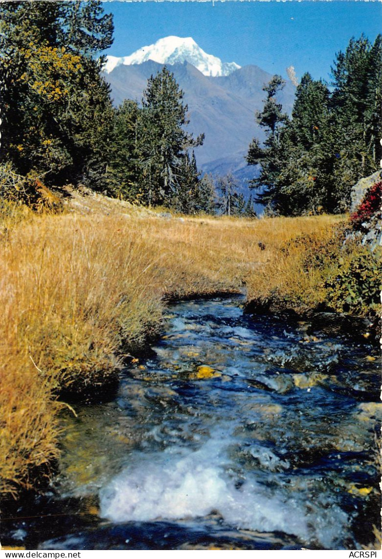 BOURG ST MAURICE Les Arcs Torrent A L Eau Claire Et Limpide Descendant De La Vallee De L Arc  20(scan Recto-verso) MA696 - Bourg Saint Maurice