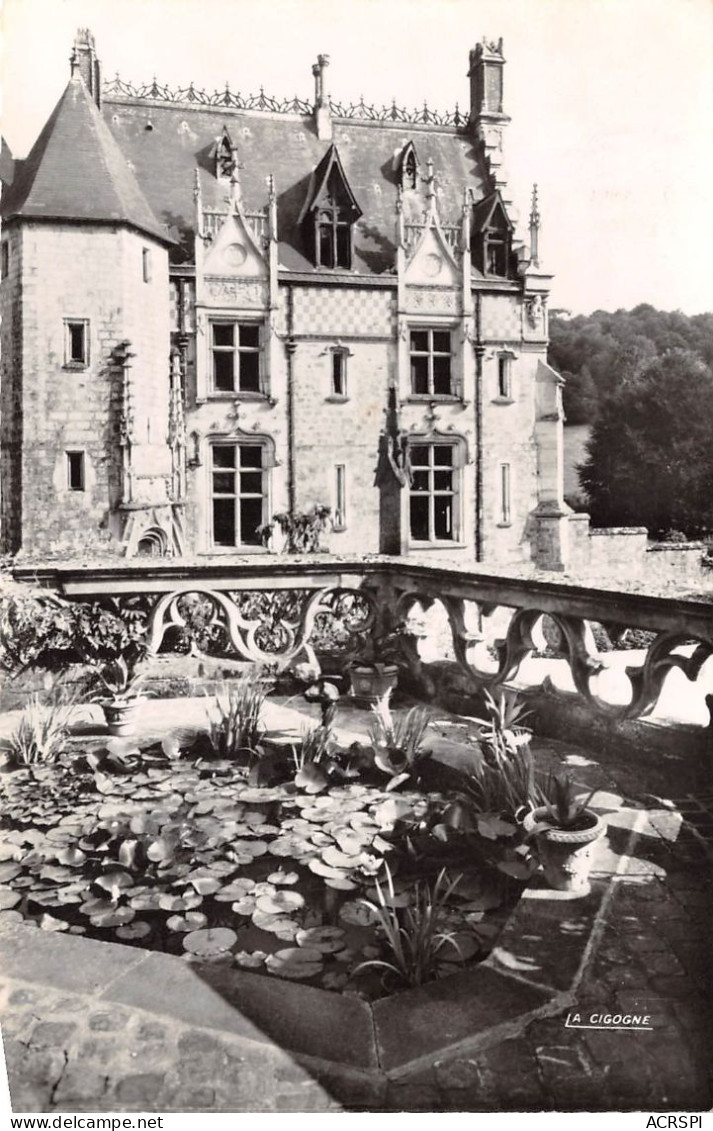 PARC ZOOLOGIQUE DE CLERES Chateau Et Terrasse 26(scan Recto-verso) MA695 - Clères