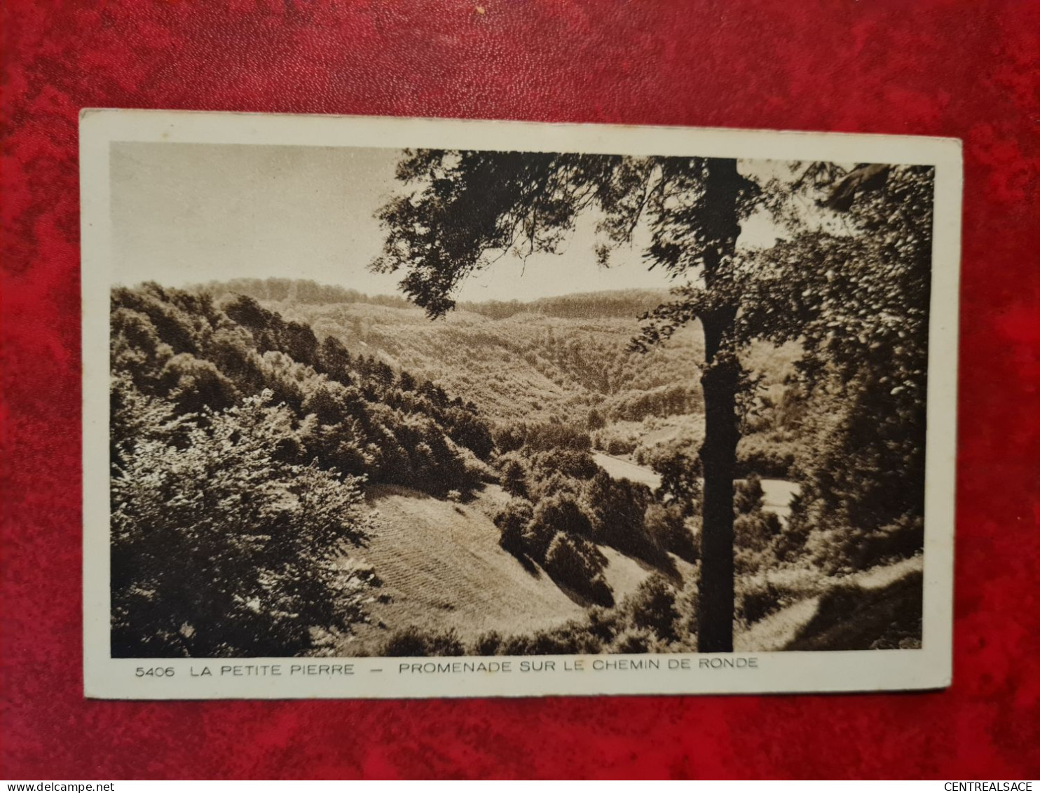 CARTE LA PETITE PIERRE PROMENADE SUR LE CHEMIN DE RONDE - La Petite Pierre