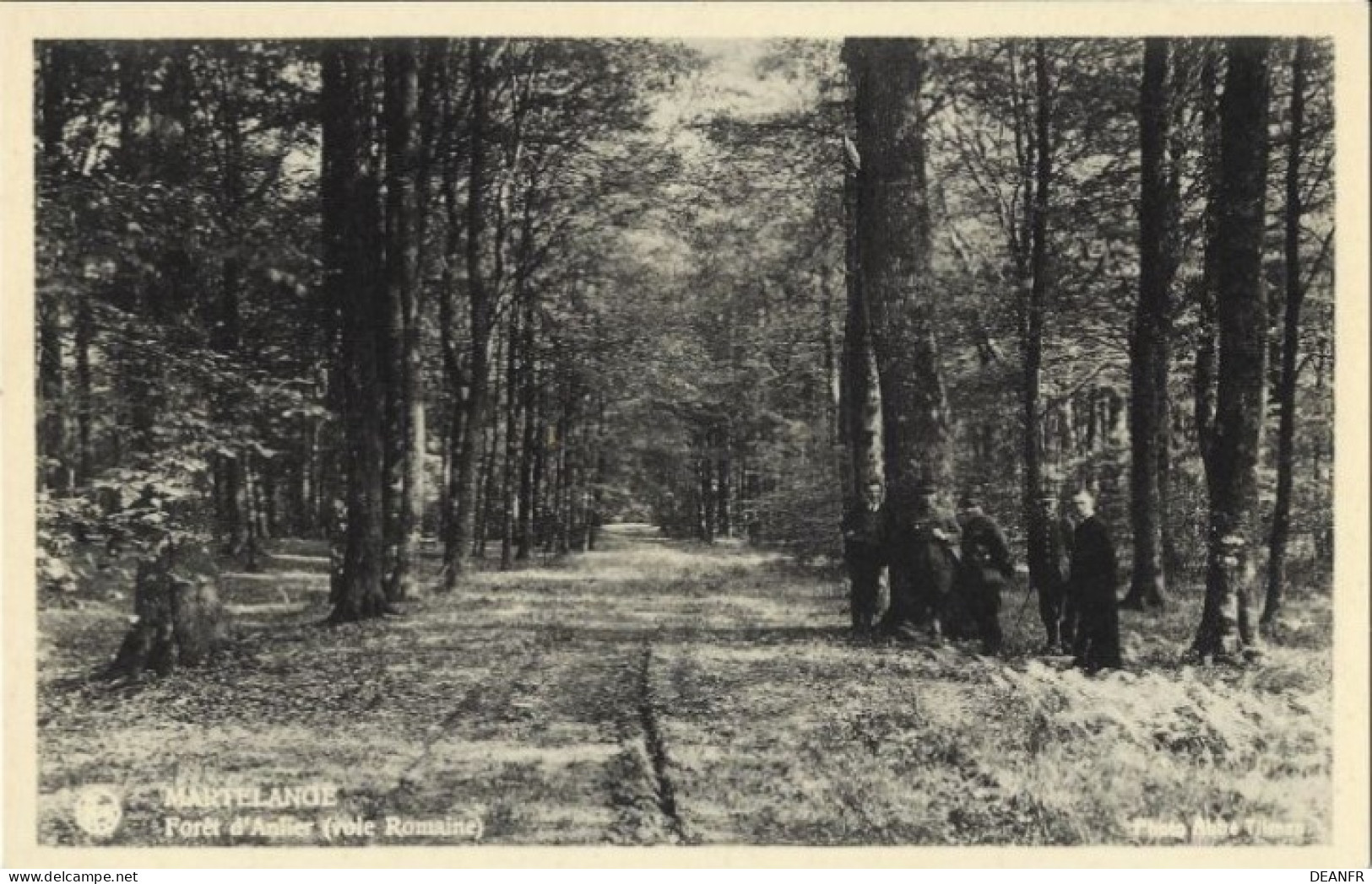 MARTELANGE : Forêt D' Anlier (voie Romaine). - Martelange