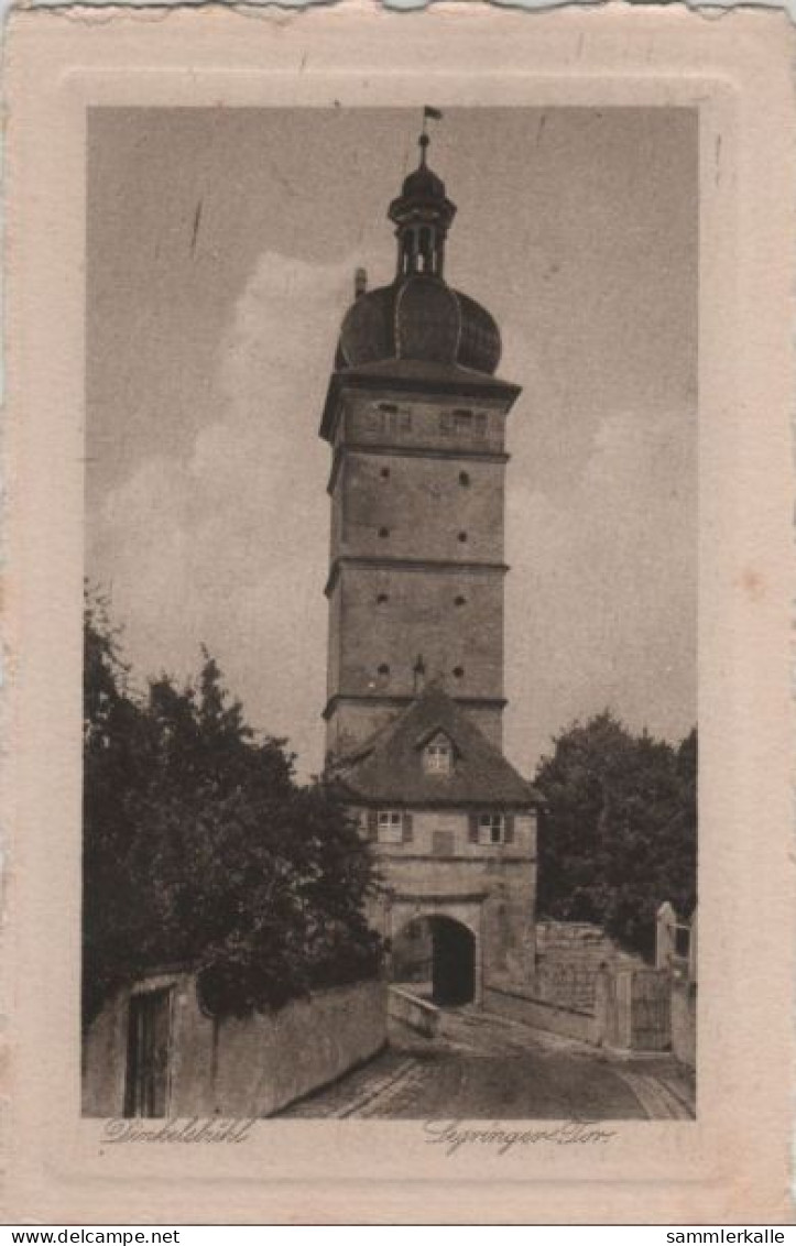 46991 - Dinkelsbühl - Segringer Tor - Ca. 1950 - Dinkelsbuehl