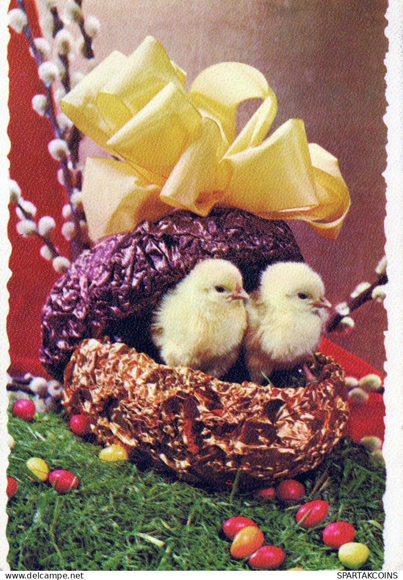 PASCUA POLLO HUEVO Vintage Tarjeta Postal CPSM #PBP228.ES - Ostern