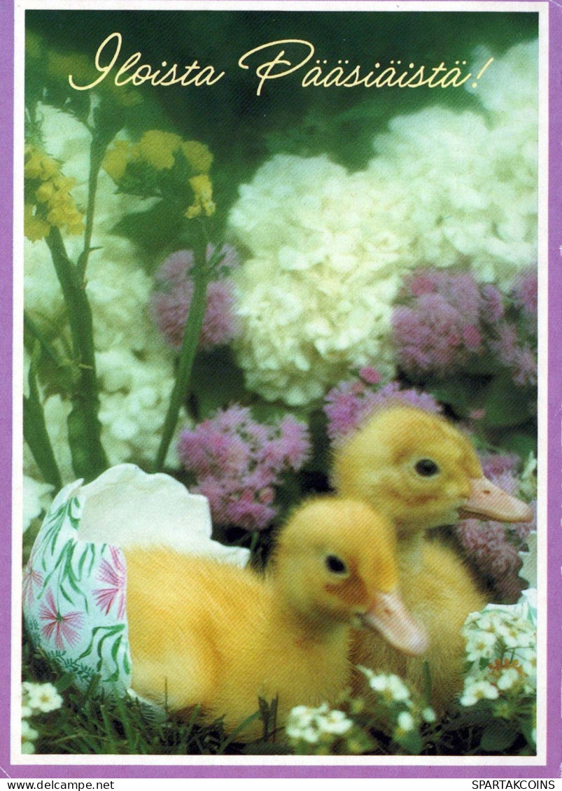 PASCUA POLLO Vintage Tarjeta Postal CPSM #PBO977.ES - Ostern