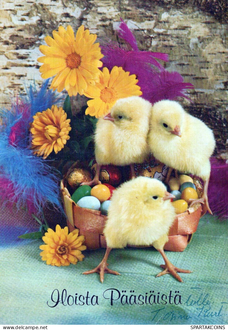 PASCUA POLLO HUEVO Vintage Tarjeta Postal CPSM #PBO603.ES - Ostern