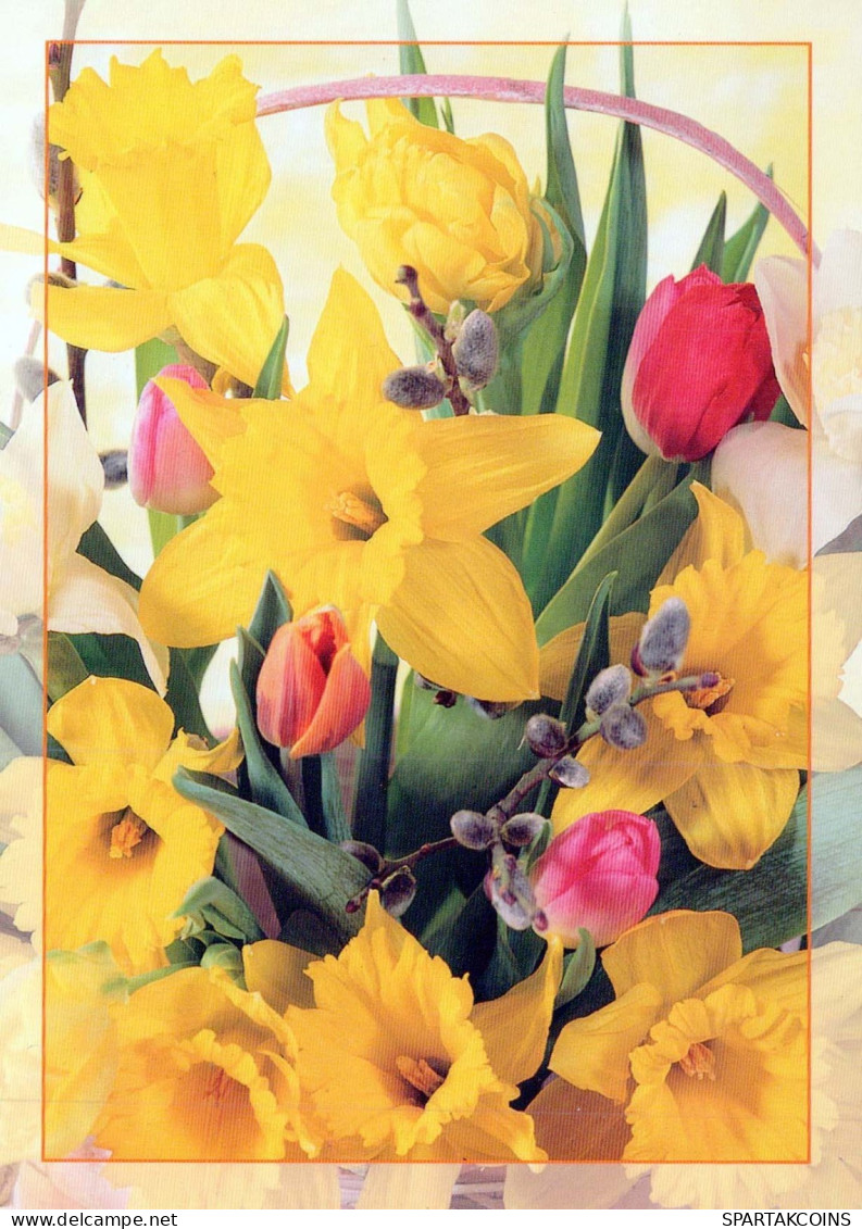 FLORES Vintage Tarjeta Postal CPSM #PAR009.ES - Fleurs