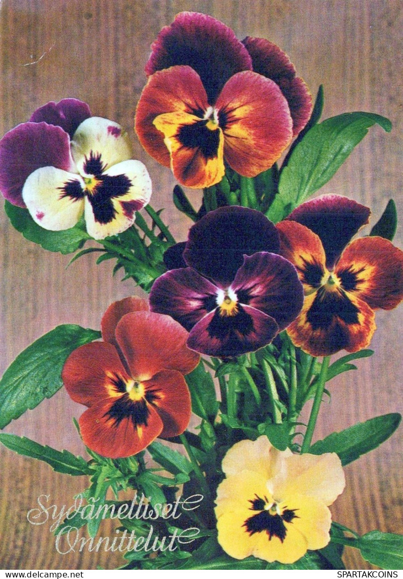 FLEURS Vintage Carte Postale CPSM #PBZ380.FR - Fleurs