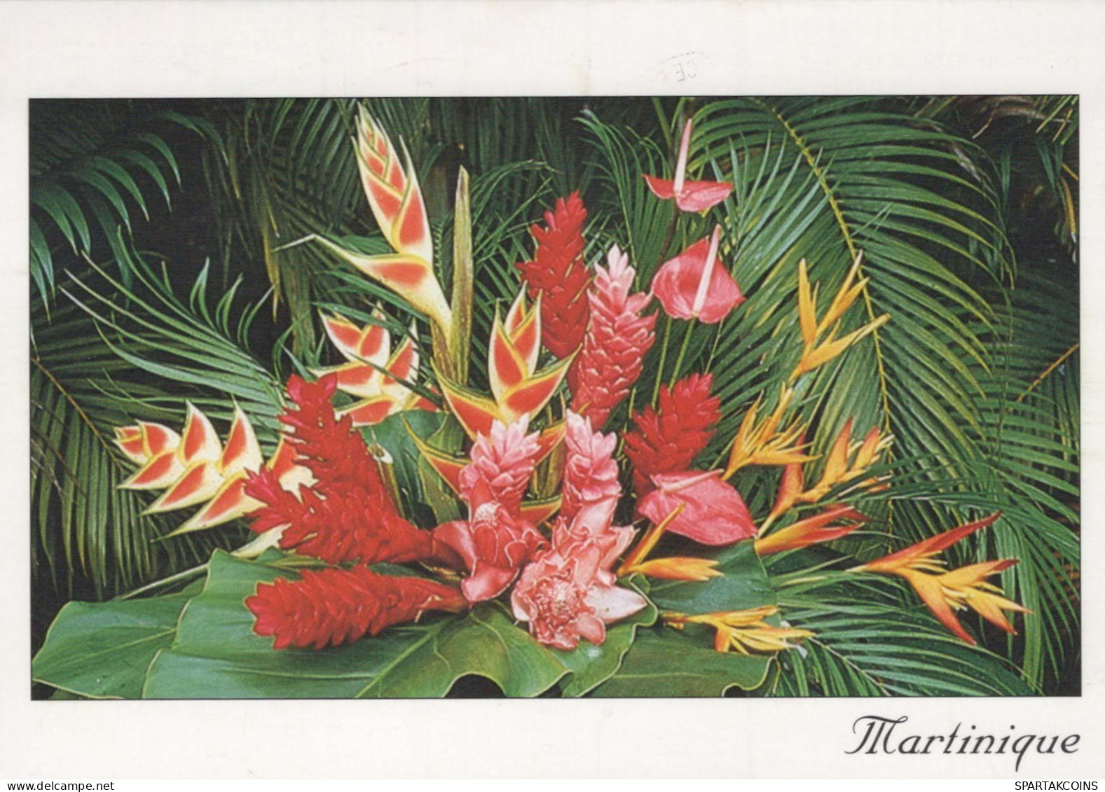 FLEURS Vintage Carte Postale CPSM #PAR732.FR - Fleurs