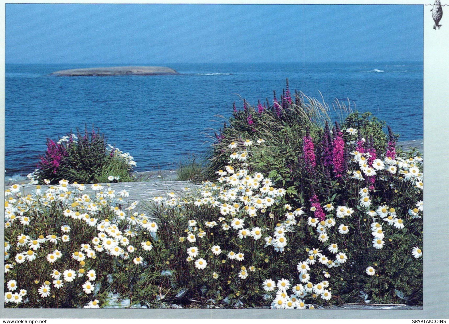 FLEURS Vintage Carte Postale CPSM #PAR672.FR - Fleurs