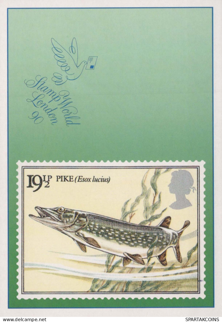 FISCH Tier Vintage Ansichtskarte Postkarte CPSM #PBS867.DE - Fische Und Schaltiere