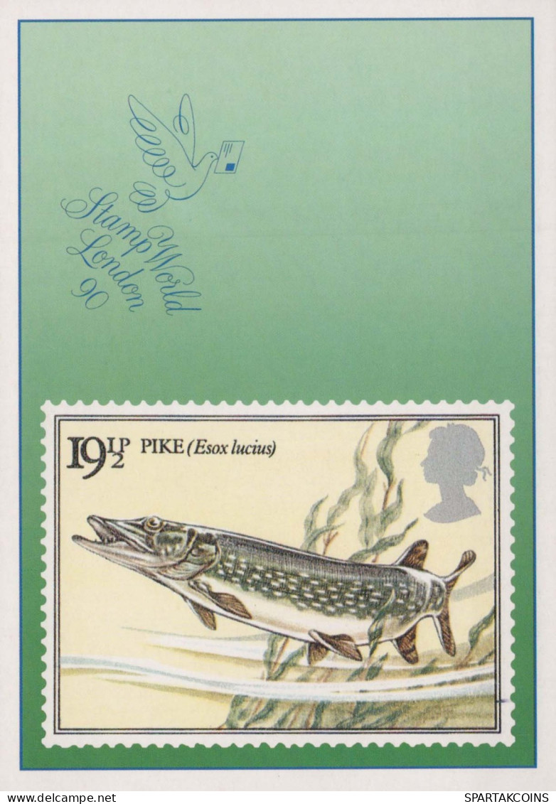 FISCH Tier Vintage Ansichtskarte Postkarte CPSM #PBS867.DE - Pesci E Crostacei