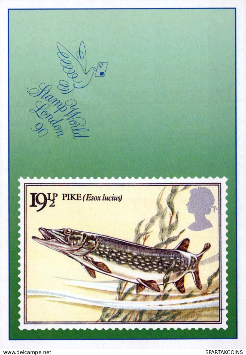 FISCH Tier Vintage Ansichtskarte Postkarte CPSM #PBS867.DE - Fische Und Schaltiere