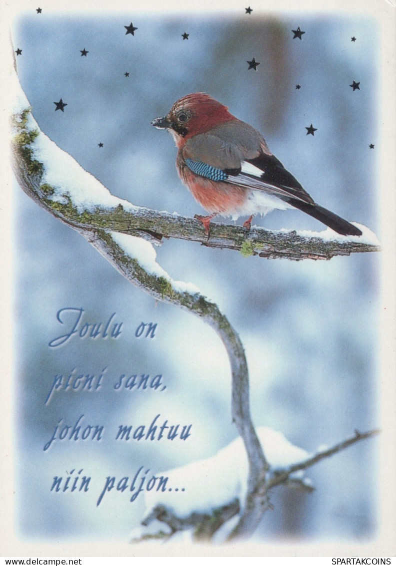 VOGEL Tier Vintage Ansichtskarte Postkarte CPSM #PAN052.DE - Oiseaux