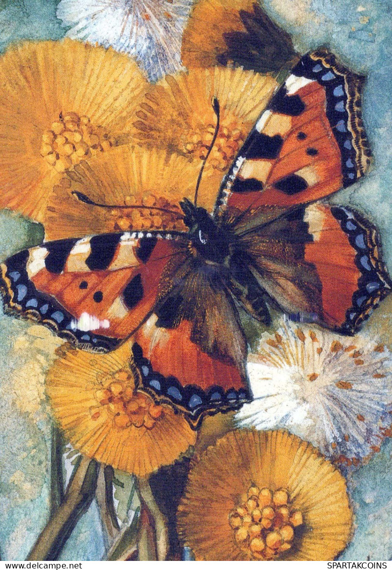 FARFALLA Animale Vintage Cartolina CPSM #PBS470.IT - Butterflies