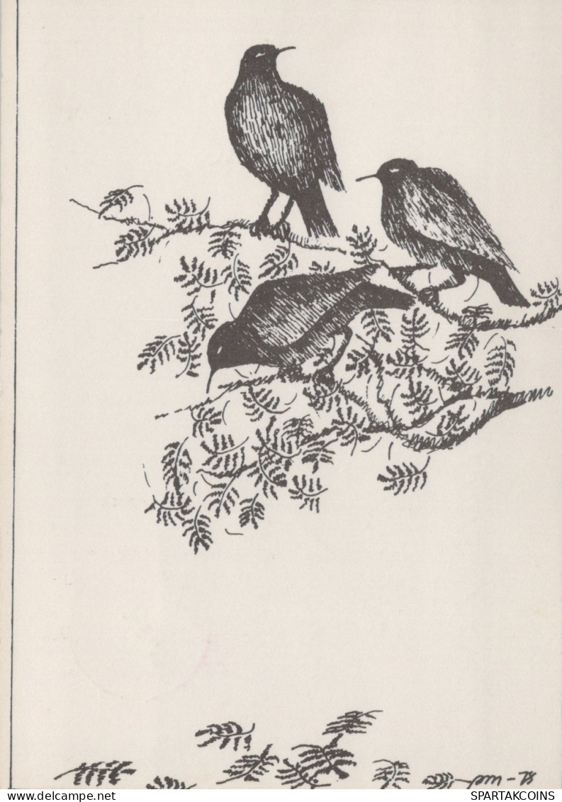 UCCELLO Animale Vintage Cartolina CPSM #PAN237.IT - Oiseaux