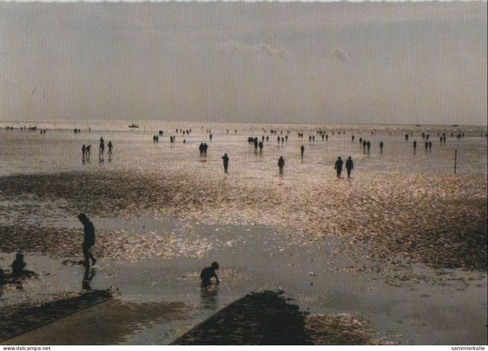 89872 - Büsum - Wattenmeer Im Gegenlicht - Ca. 1985 - Buesum