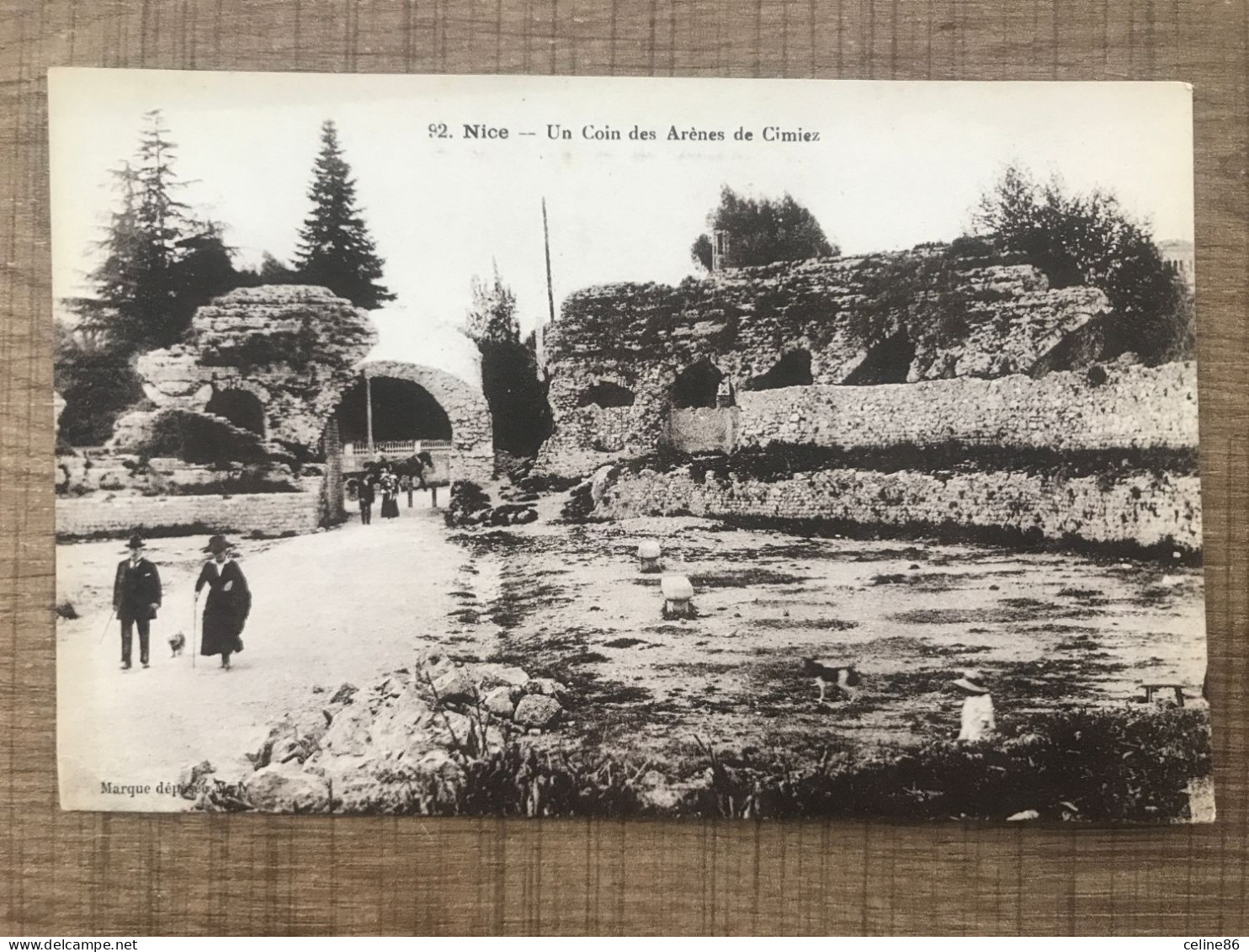 NICE Un Coin Des Arènes De Cimiez - Parcs Et Jardins