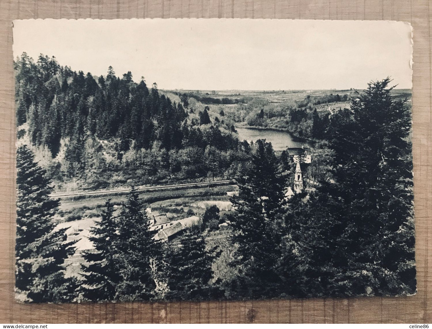  LANDERNEAU Vue Générale Sur Les Bois Et L'Etang De Pont Chris  - Landerneau