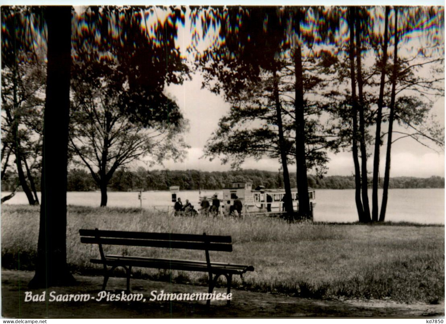 Bad Saarow-Pieskow, Schwanenwiese - Bad Saarow