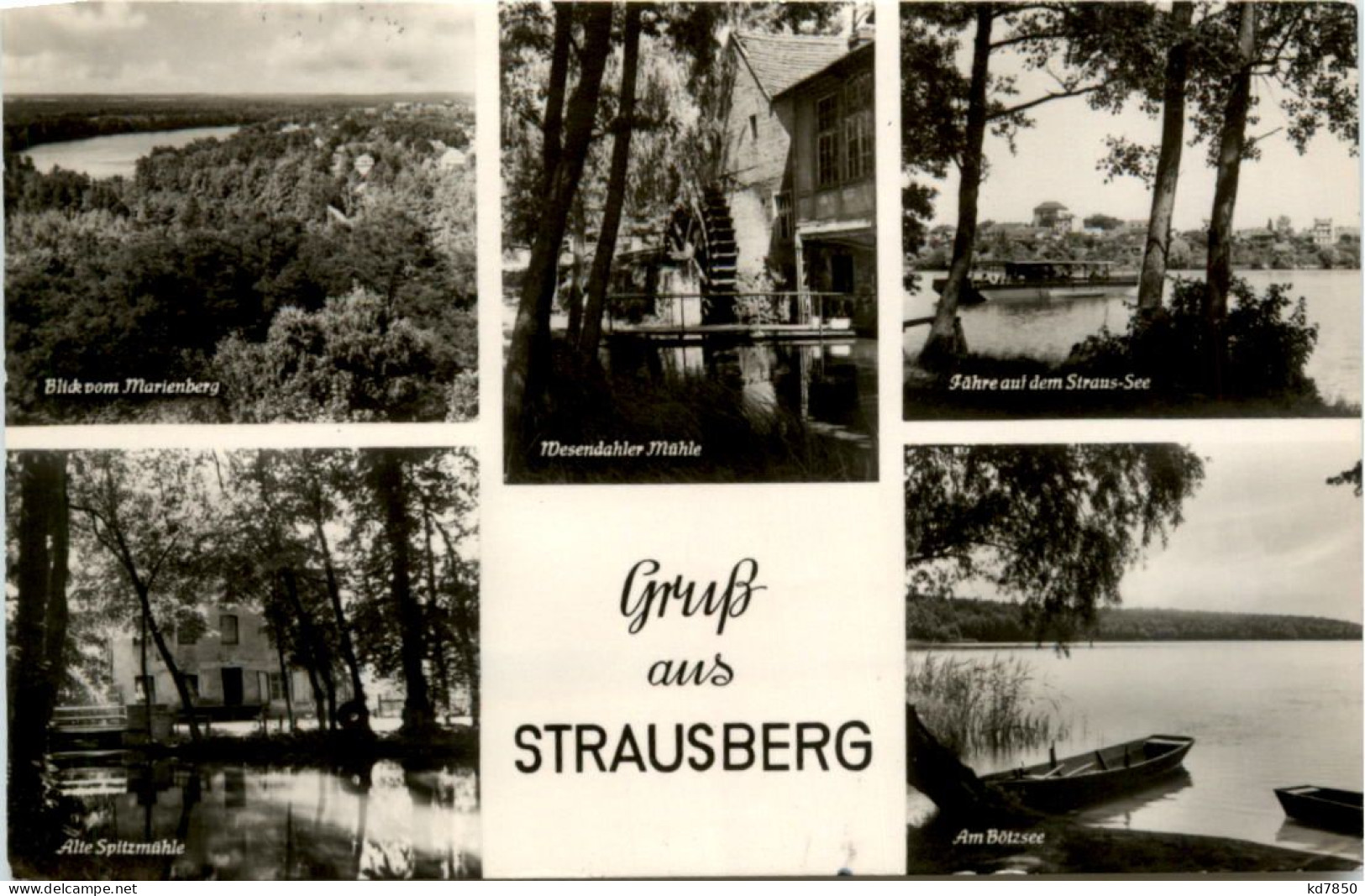 Gruss Aus Strausberg, Div. Bilder - Strausberg